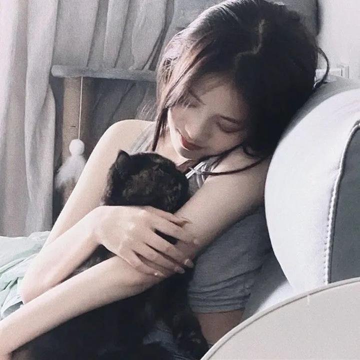 独狼2013