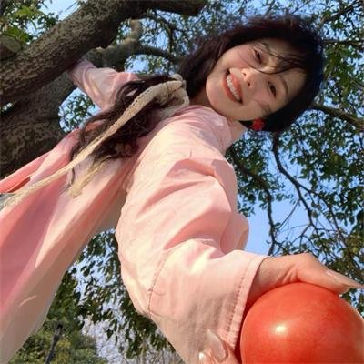 探险活宝第五季